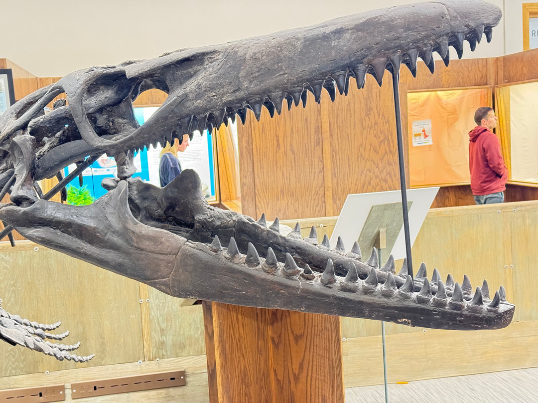 Museum of Geology-拉皮德城必去景点