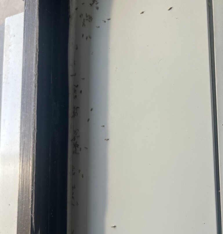 Days Inn by Wyndham Lake Charles主图