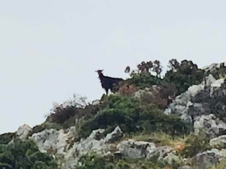 Staori Ecotours Crete-雷斯蒙必去景点