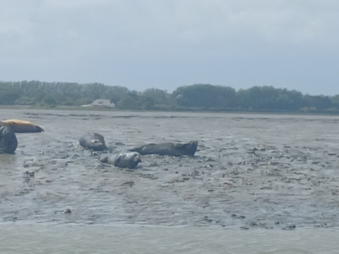 Chichester Harbour Water Tours景点图片