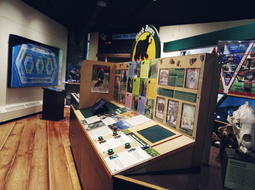 Lynn Canyon Ecology Centre-北温哥华必去景点