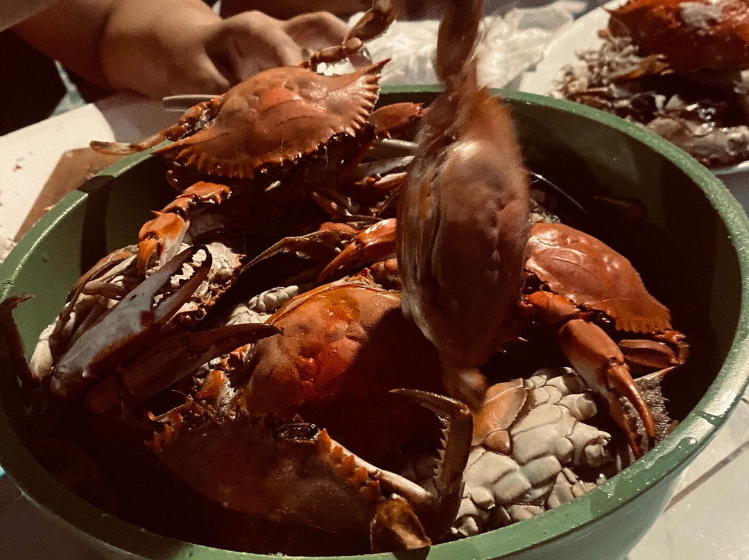 Pocas Beach-Sitio do Conde必去景点