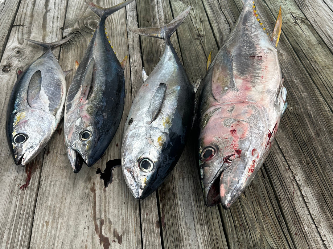 Catchin' Caicos-普罗维登西亚莱斯必去景点