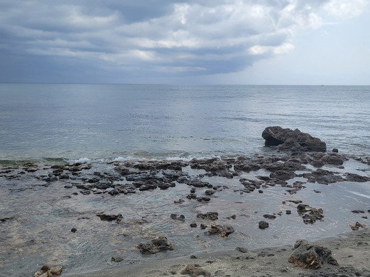 Coral Cove Park-Tequesta必去景点