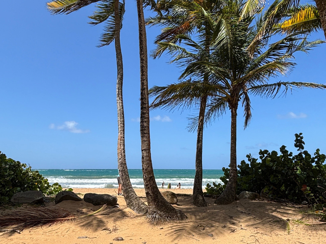 Wyndham Rio Mar Golf Club-Rio Grande必去景点