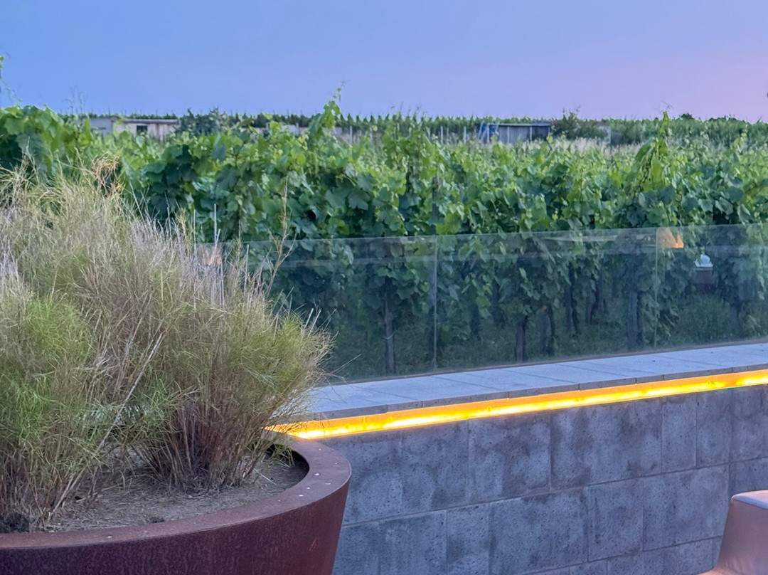 Tenuta Di Castellaro Winery-利帕里必去景点
