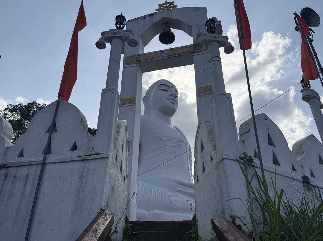 Lesley tuk tuk Safari-康提必去景点