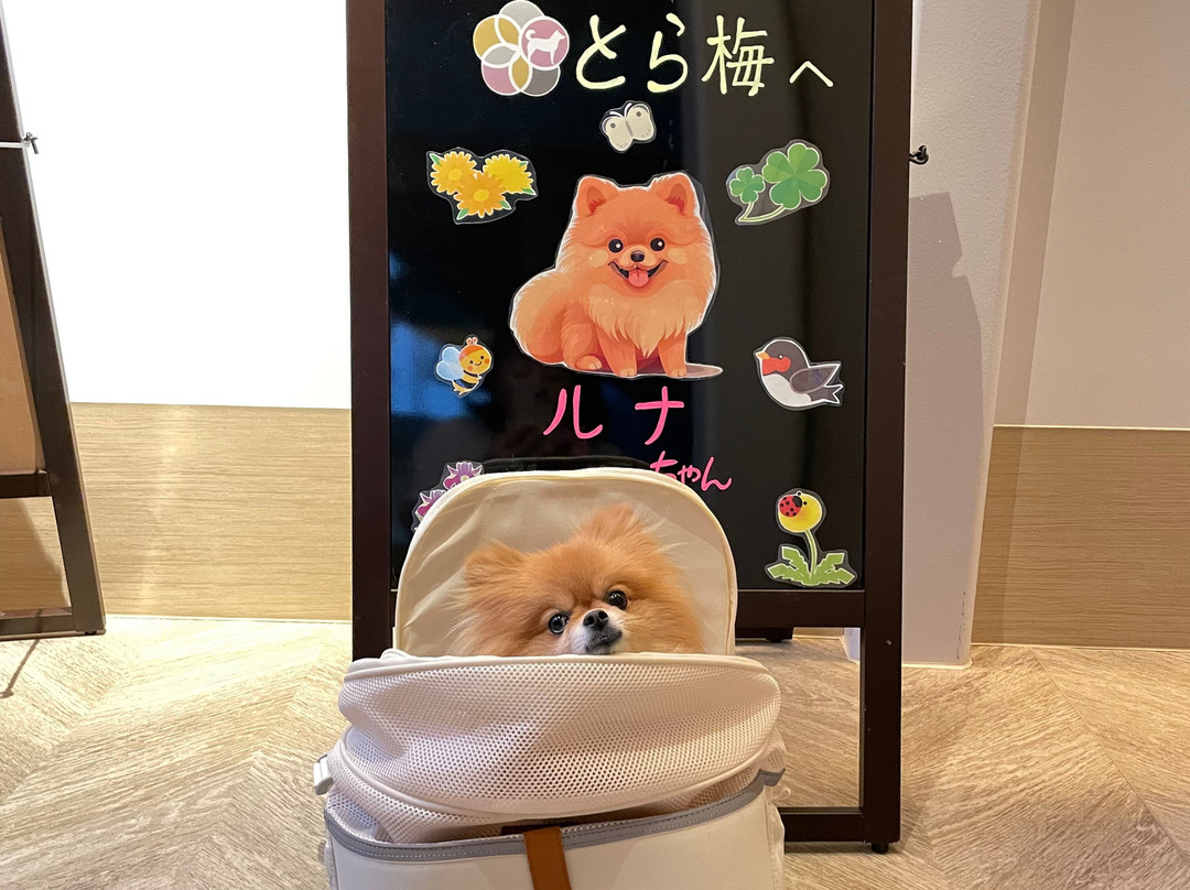 Koubaitei主图
