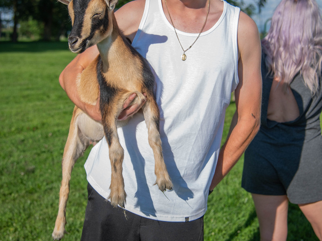 Cherry Lane Acres-圣玛丽必去景点