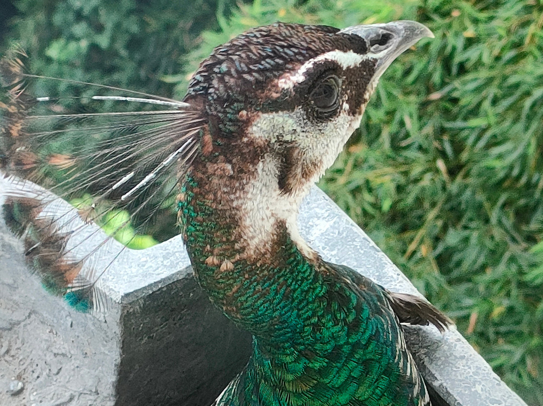 Hostellerie-Restaurant Les Gorges De L'Aveyron主图