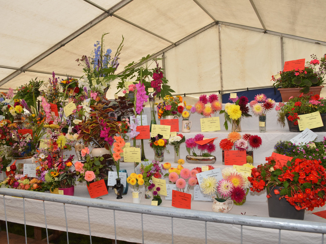 Swinford Agricultural Show-Swinford必去景点