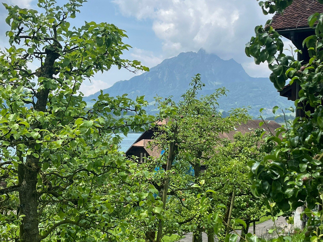 Schloss Meggenhorn-麦根必去景点
