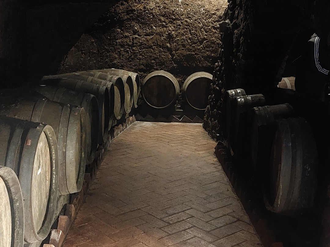 Cantine del Notaio-Rionero in Vulture必去景点