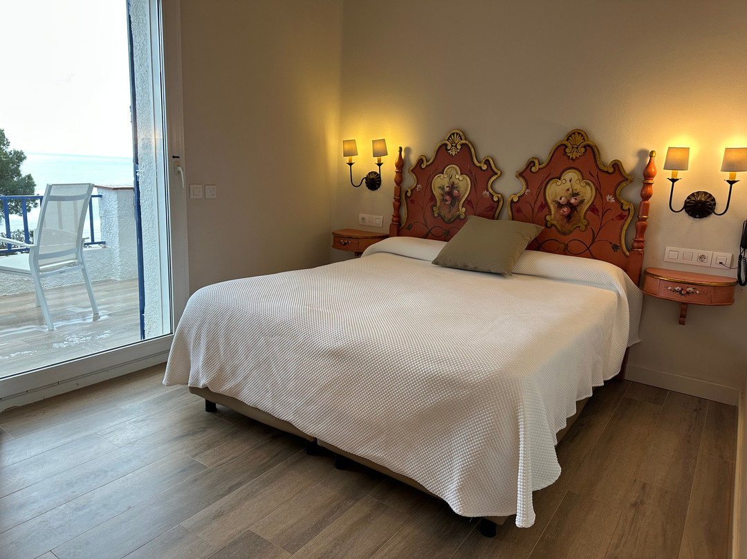 Hotel Sant Roc主图