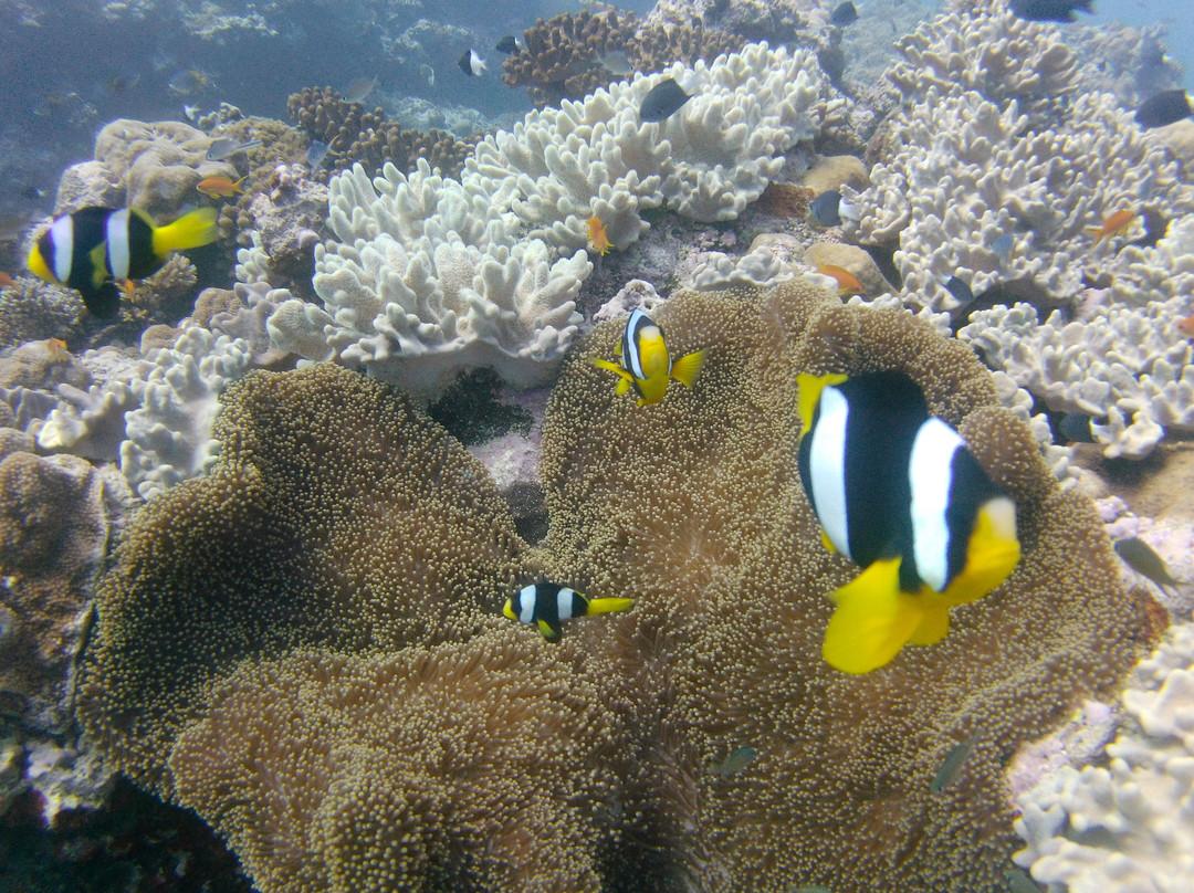 Babou Cote Ocean-Hienghène必去景点