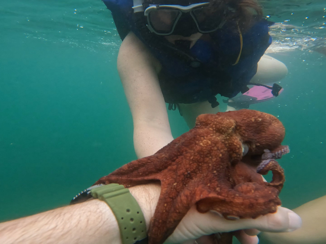 Tony Expeditions-El Jobo必去景点