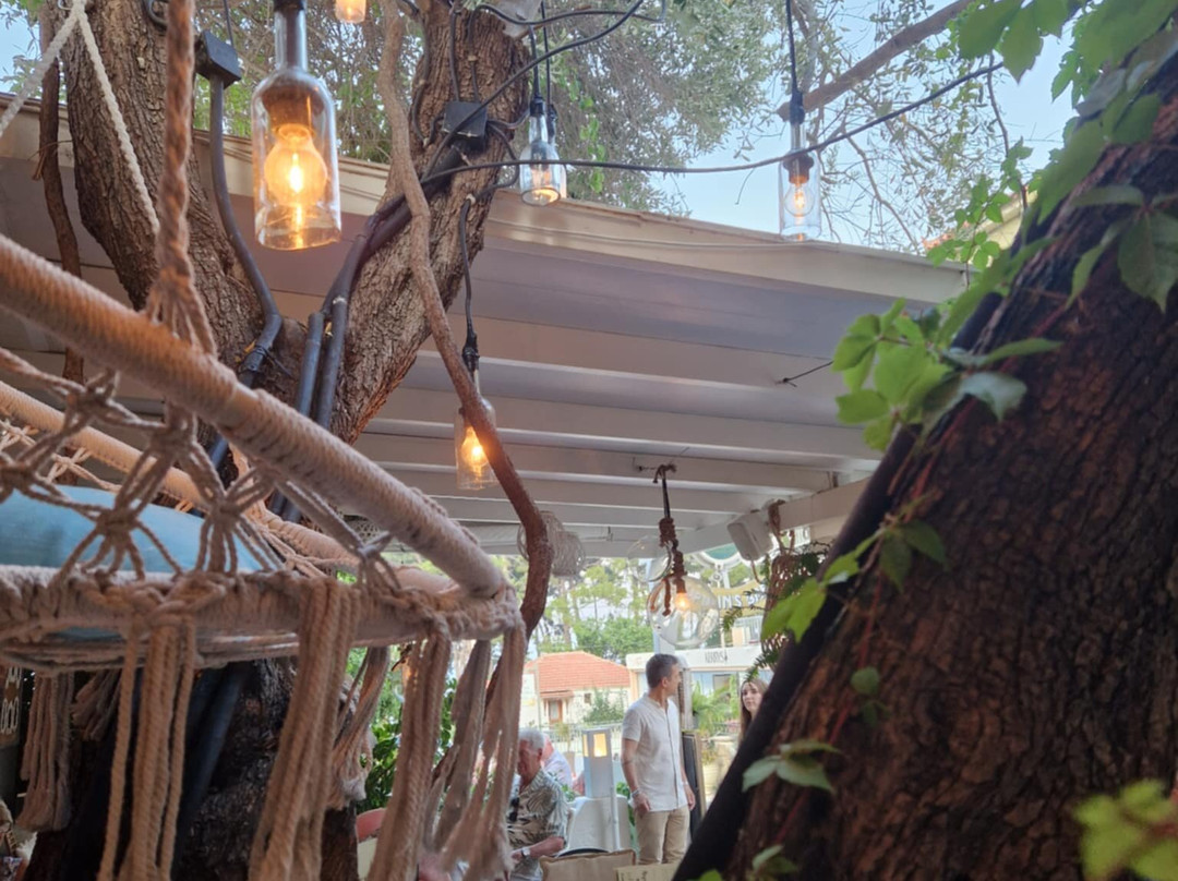 Captain's Bar-Skala必去景点