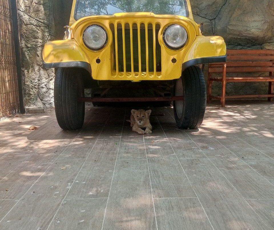 Berkem Aslan Diyari-Golbasi必去景点