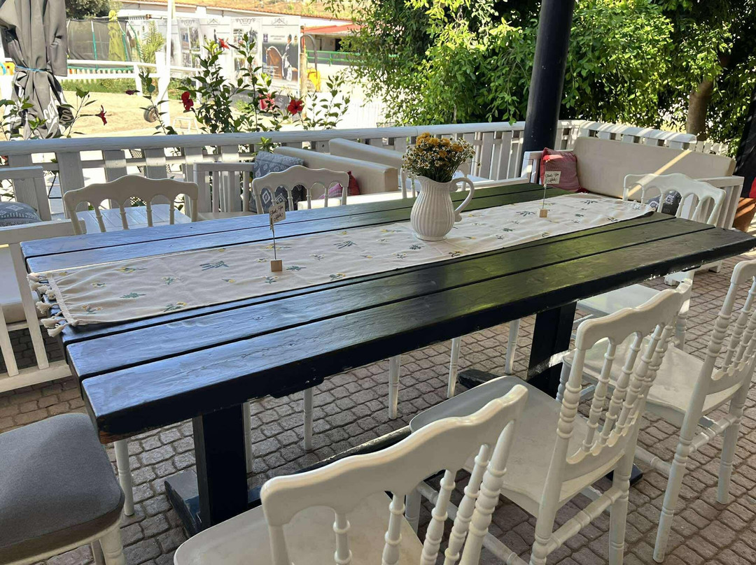 Riding Academy of Crete - Ippikos Riding Club-Karteros必去景点