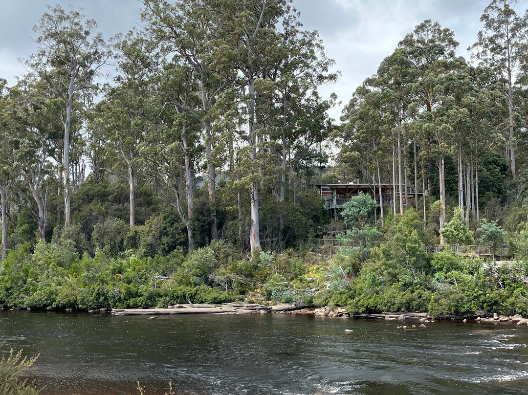 Tahune Adventures-Geeveston必去景点