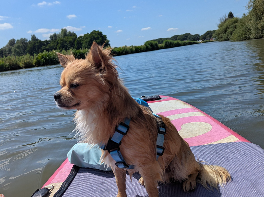 Sup & Beach-IJsselstein必去景点