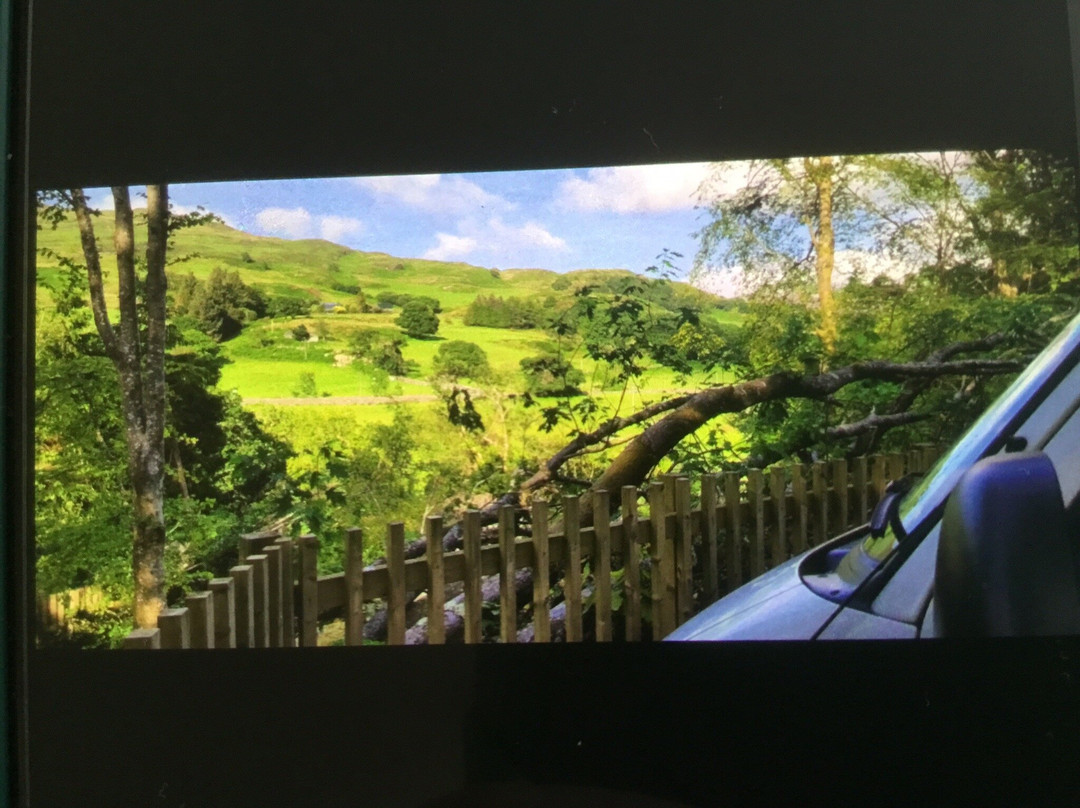 Beddgelert Forest-Beddgelert必去景点