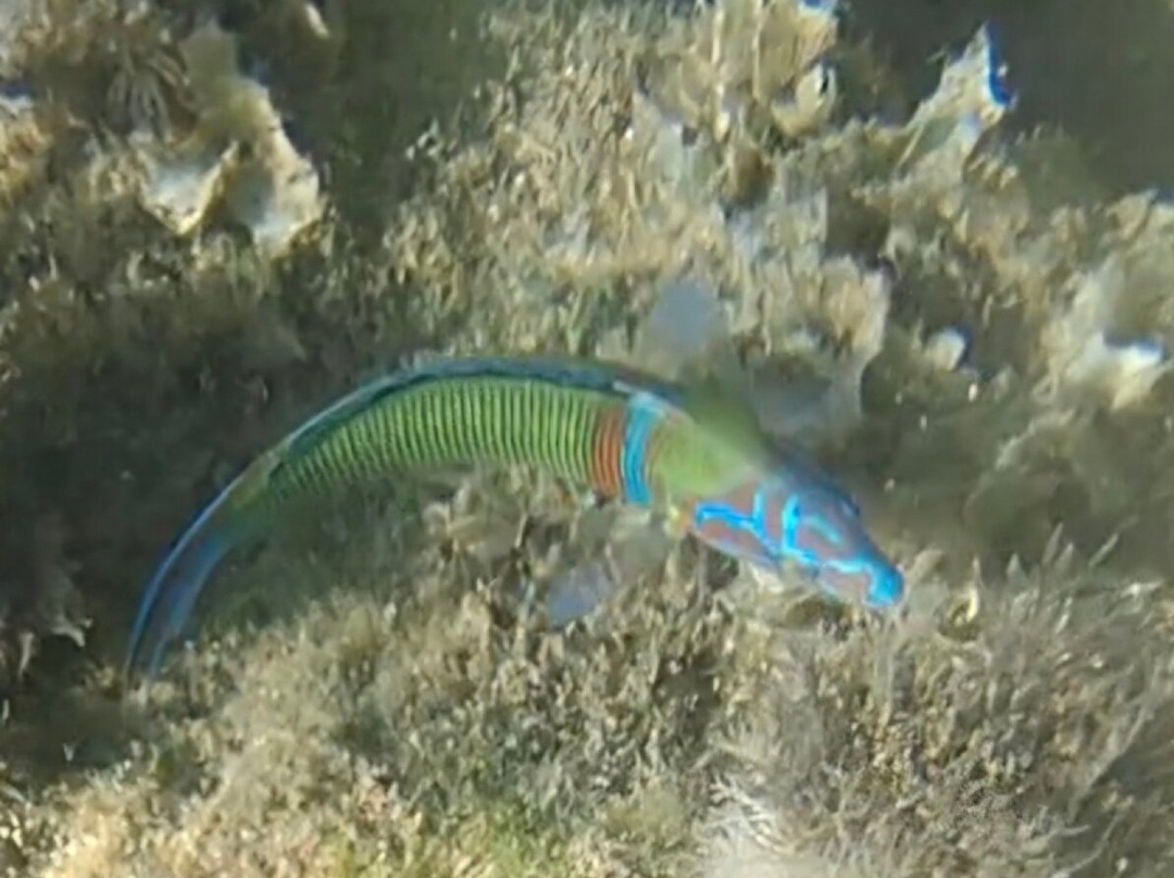 Filoxenia Hotel & Apartments主图