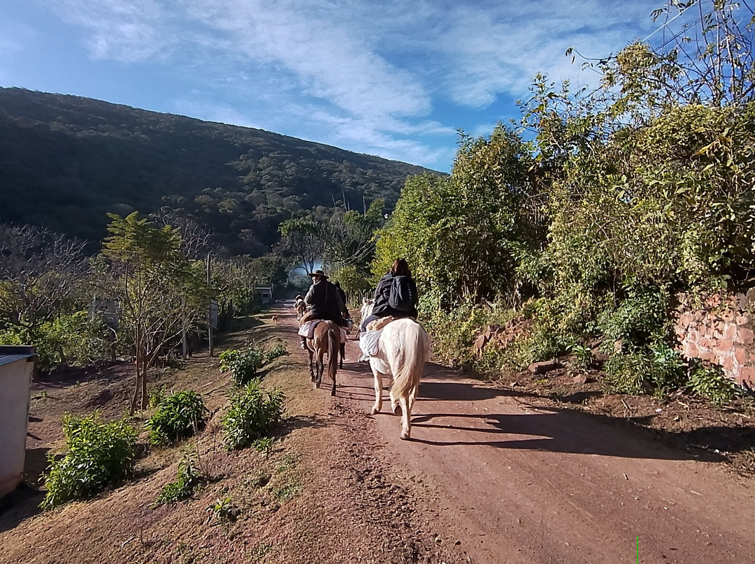 Paraíso De Las Yungas