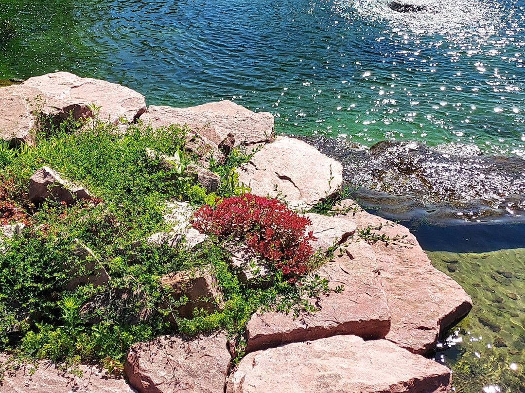 Mary Jo Wegner Arboretum-苏福尔斯必去景点