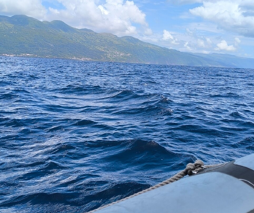 Sao Jorge Dive and Sail Center-Sao Jorge必去景点