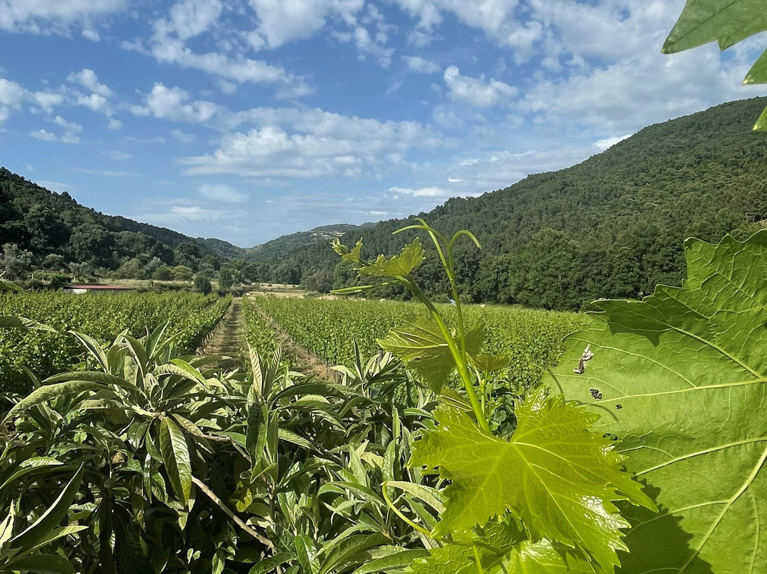 Casa Grande do Seixo主图