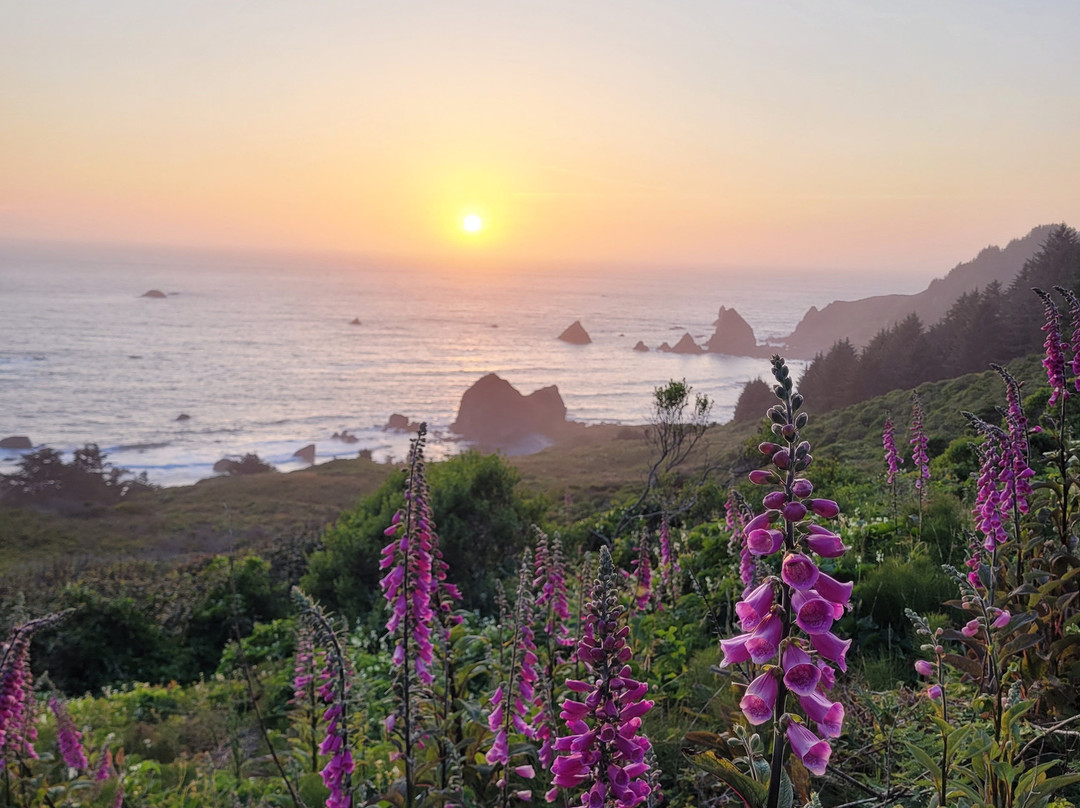 Cape Ferrelo Viewpoint-布鲁金斯必去景点