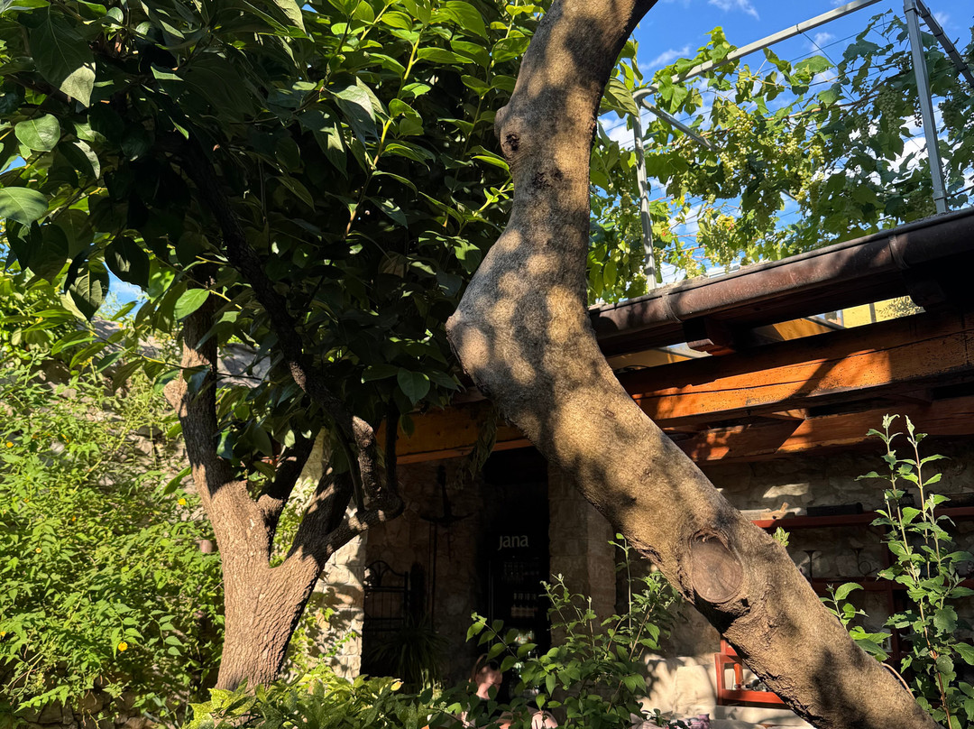 Wine Garden-斯克拉丁必去景点