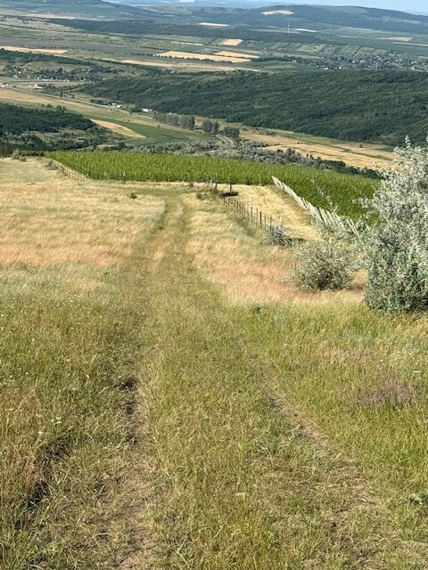 Crama Mircesti-Ungheni必去景点