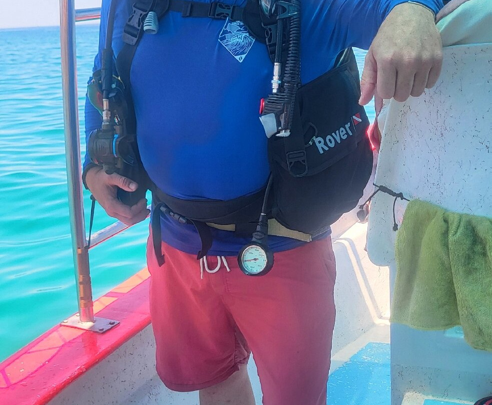 Dive in la Paz-拉巴斯必去景点