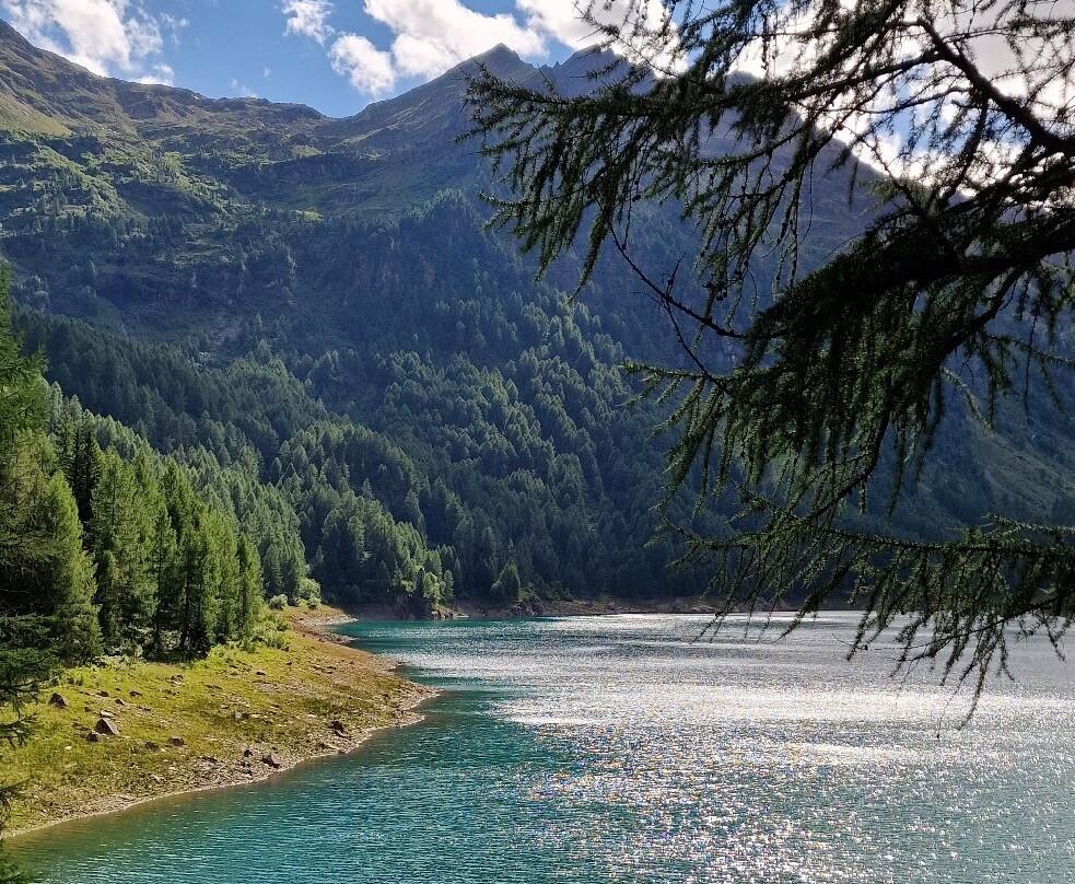 Lago di Pian Palù-Peio必去景点