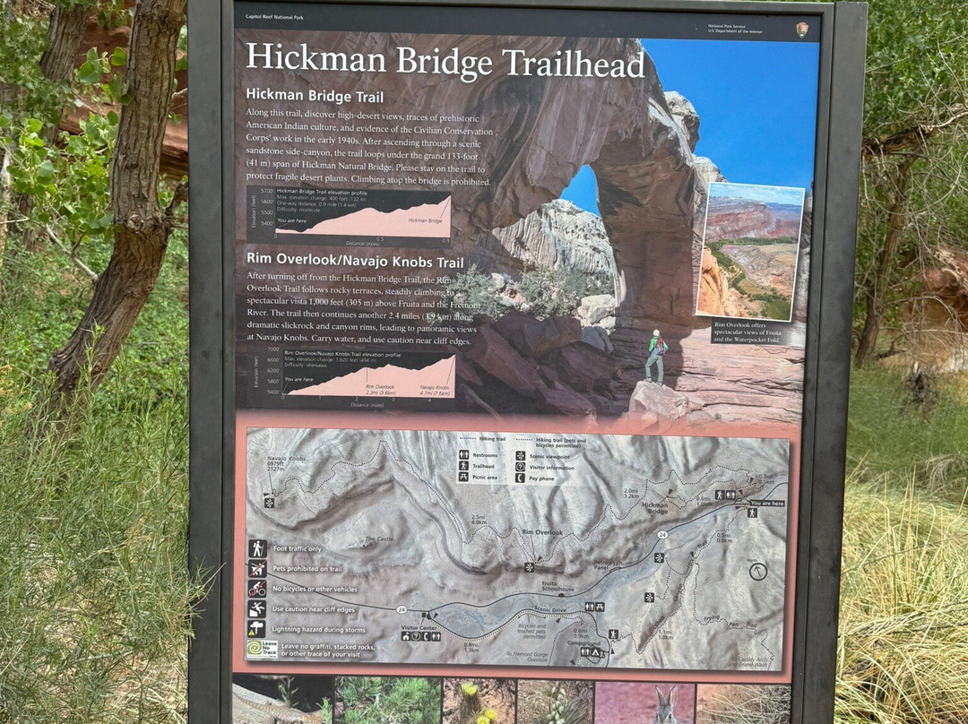 The Hickman Bridge Trail-圆顶礁国家公园必去景点
