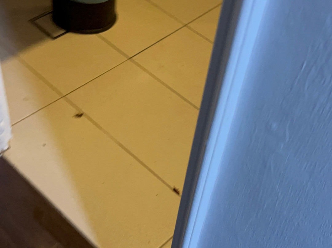 停泊岛度假村主图