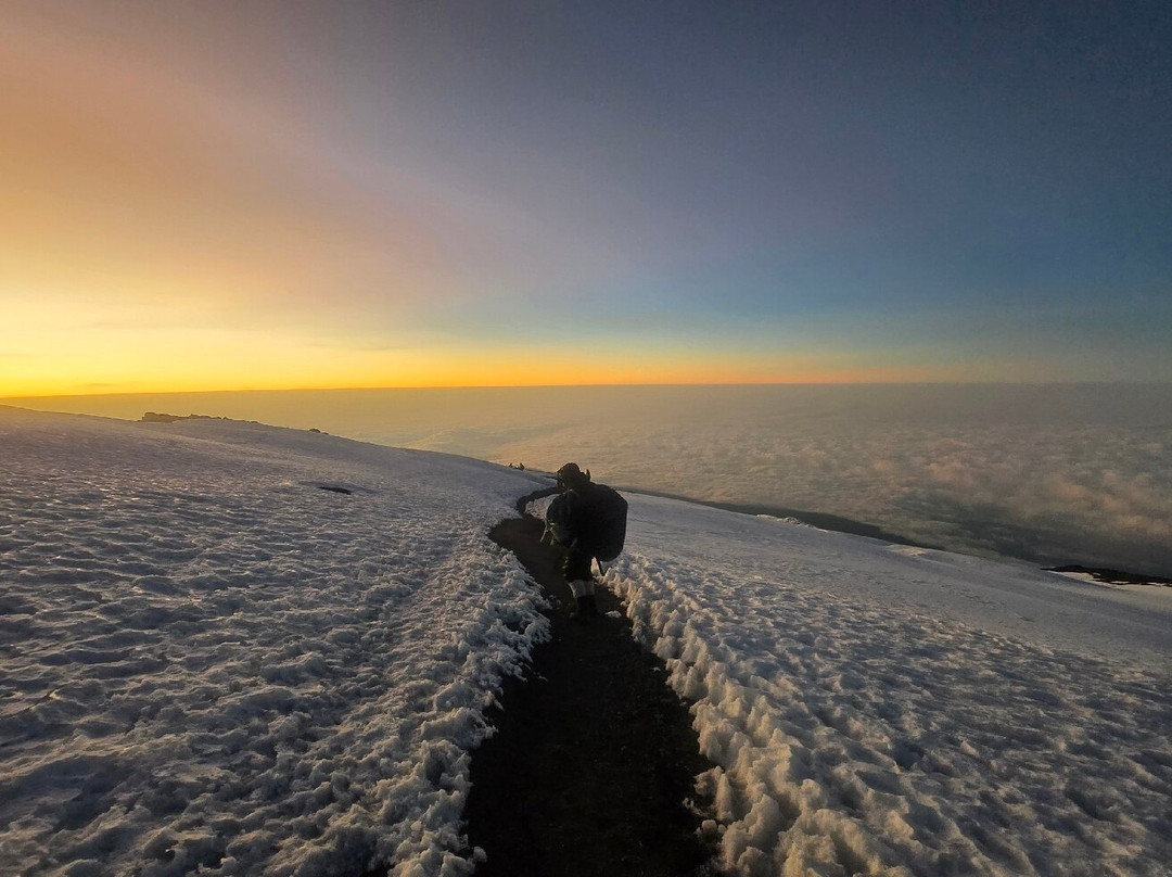 Dotcom Safaris Ltd-莫西必去景点