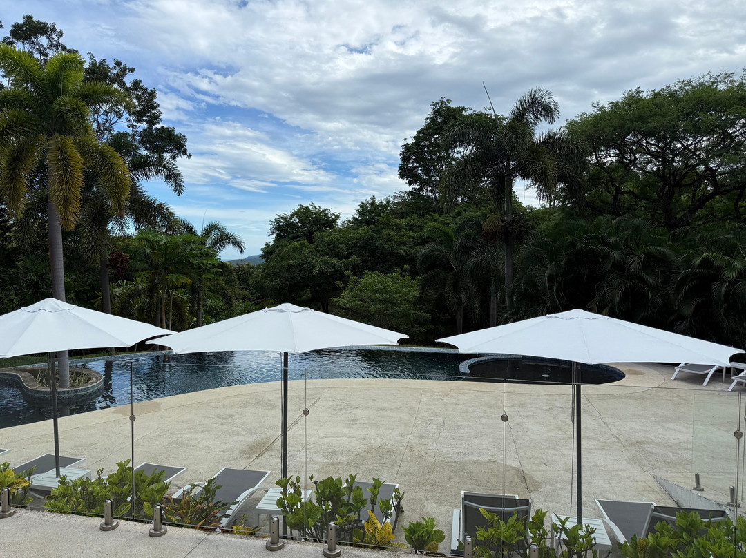 Mikado Natural Lodge主图