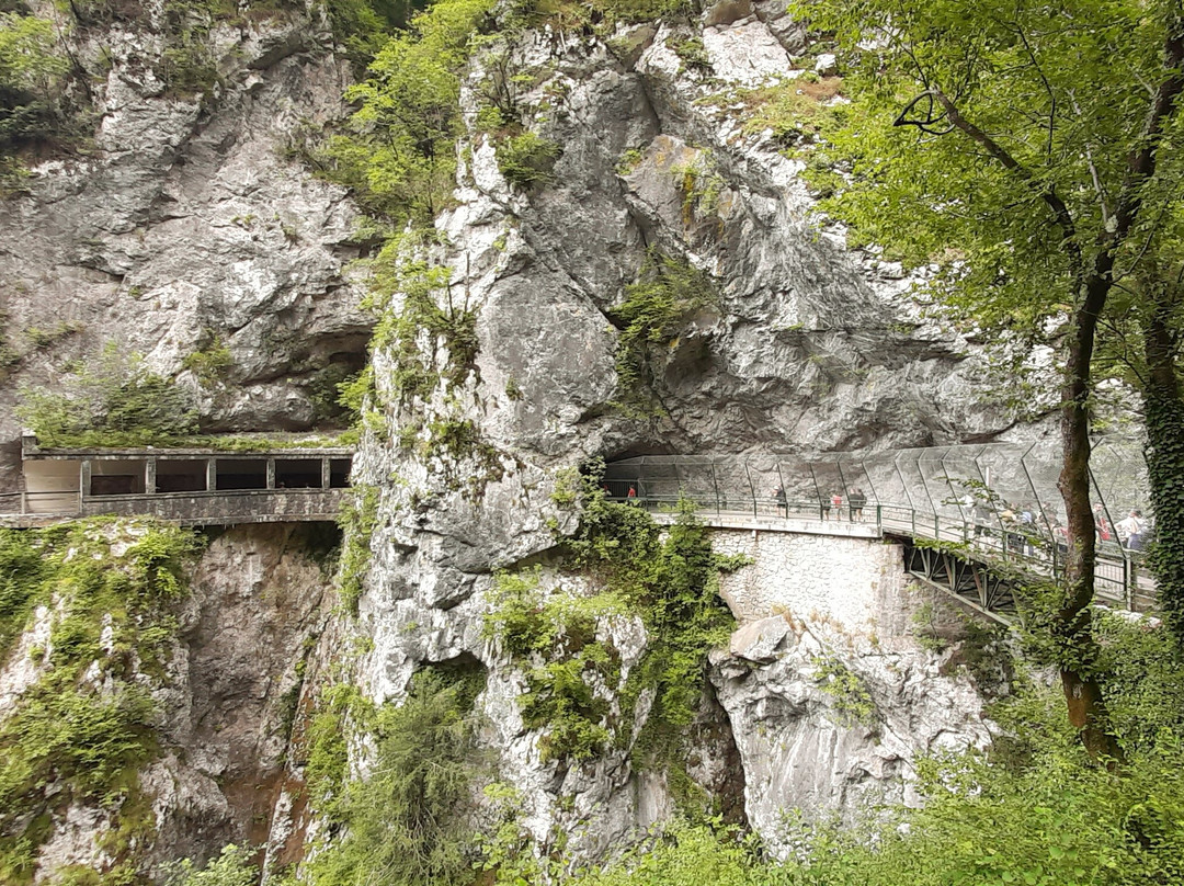 Tolmin Gorge-Tolmin必去景点