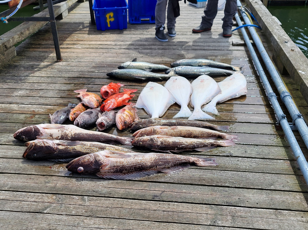 Marcus Kennett Fishing Charters-Port Renfrew必去景点