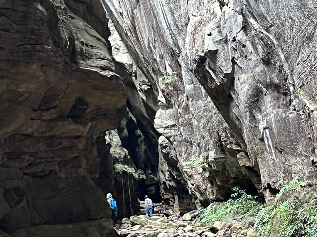 Carnarvon Gorge-Carnarvon National Park必去景点