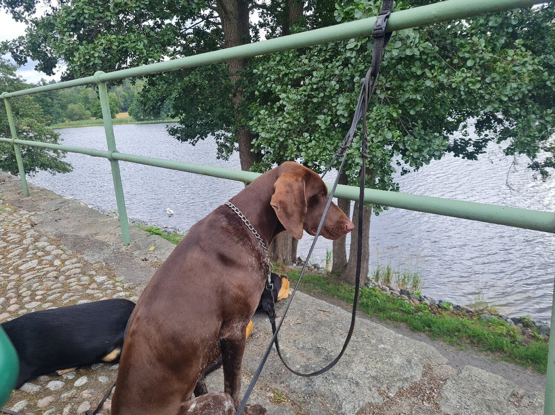 Maritime Museum-斯德哥尔摩必去景点