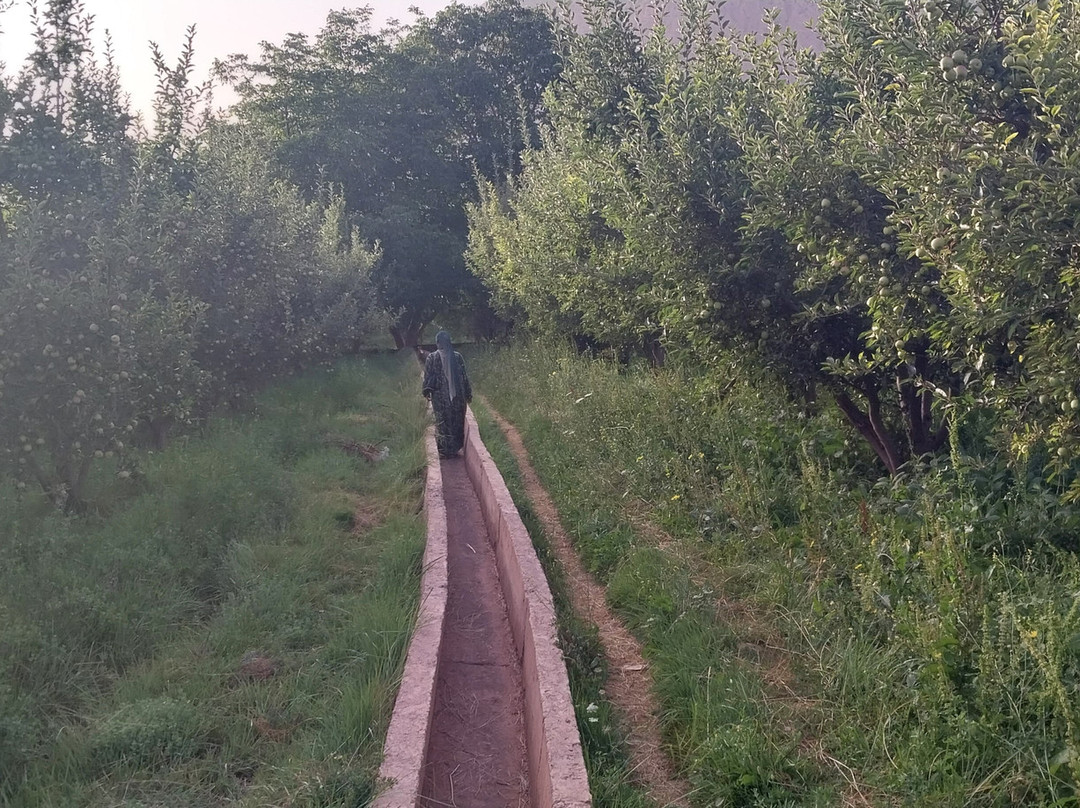 Maison D'hotes Dar Afra主图