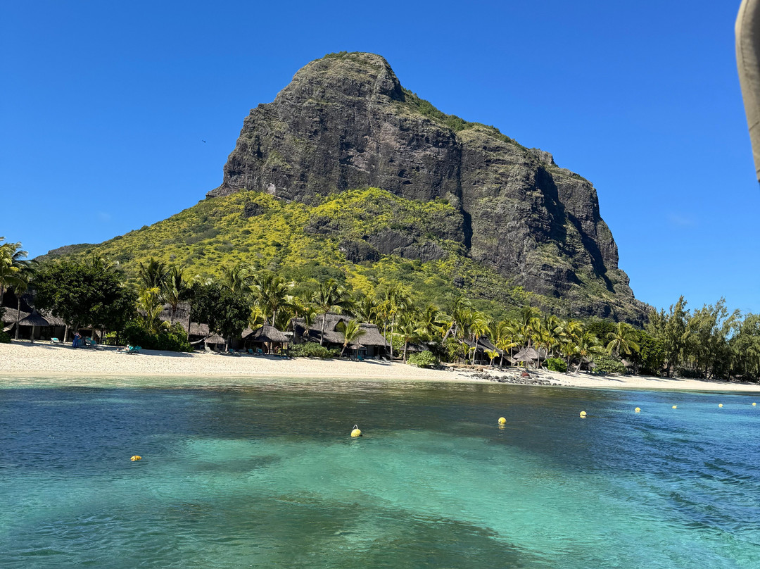 Fabulous View - Dodo Rasta-阿尔比恩必去景点