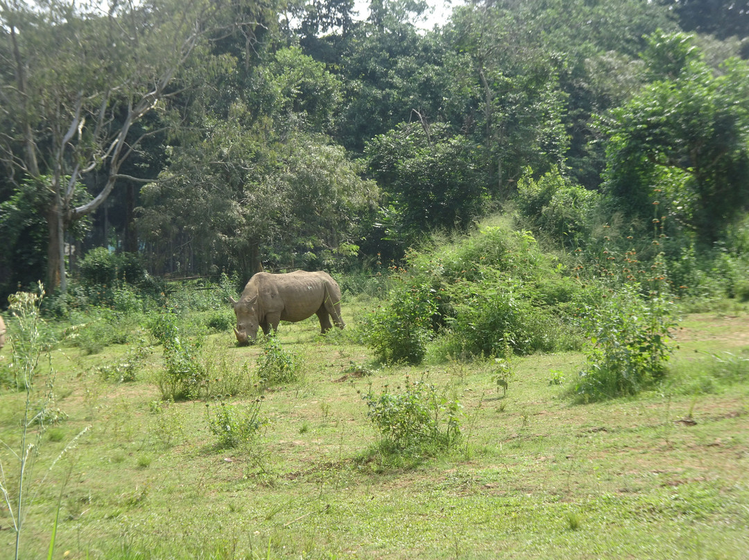 Entebbe Zoo-恩德培必去景点