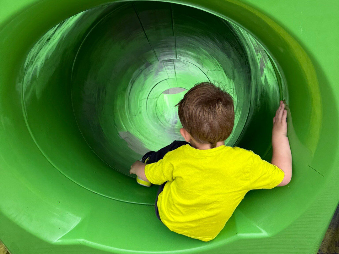 Active Kids Adventure Park-Stanley必去景点