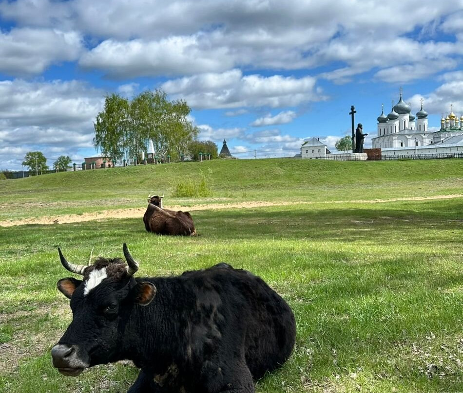 Makaryev Monastery-Makaryevo必去景点