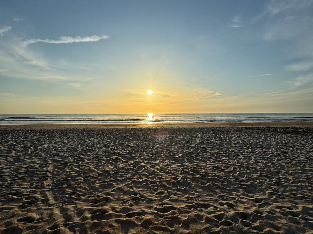 巴哈马豪斯酒店主图